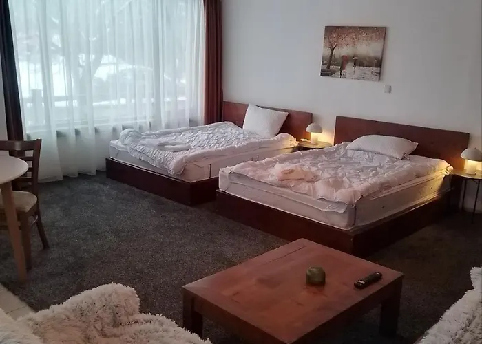 цветелина и митко 班斯科