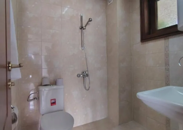 цветелина и митко 班斯科