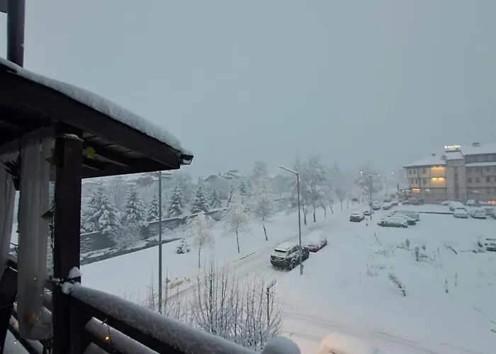 度假居 цветелина и митко *