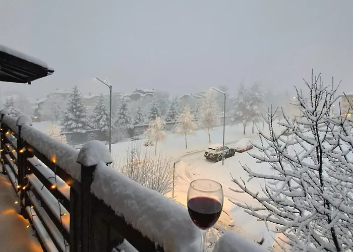 цветелина и митко * 班斯科