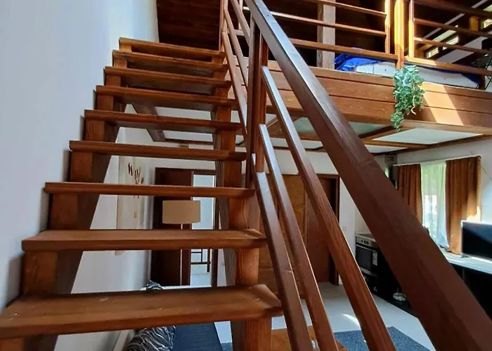 цветелина и митко 班斯科