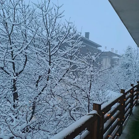 цветелина и митко Банско