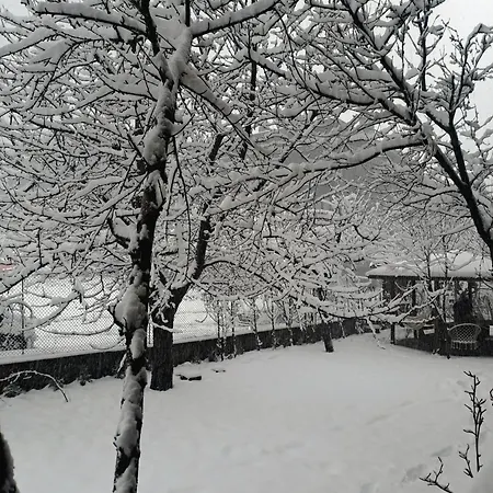 Ваканционна къща цветелина и митко