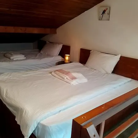 цветелина и митко *