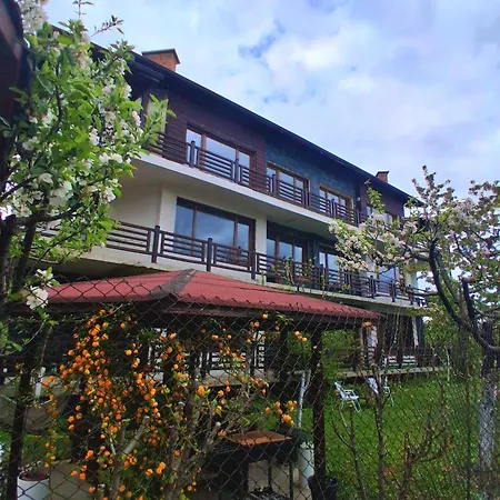 Homely Bansko