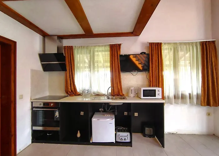 Дом отдыха цветелина и митко Банско