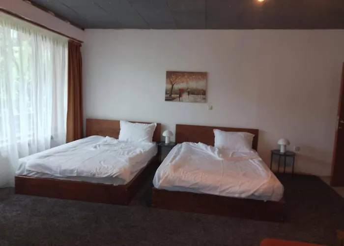 цветелина и митко