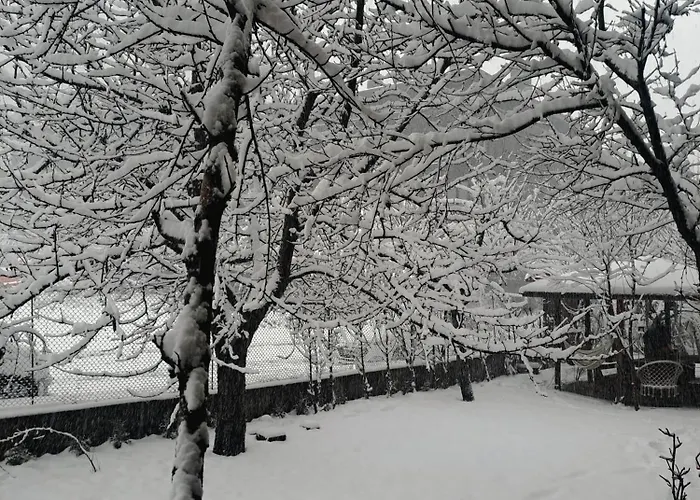 Дом отдыха цветелина и митко