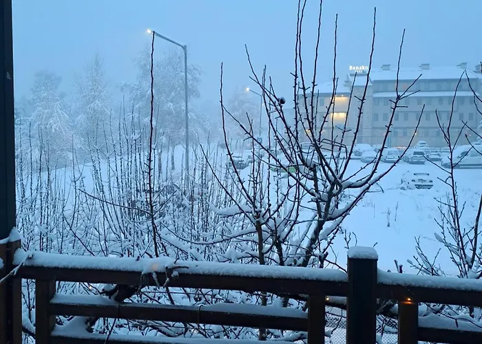 цветелина и митко Дом отдыха